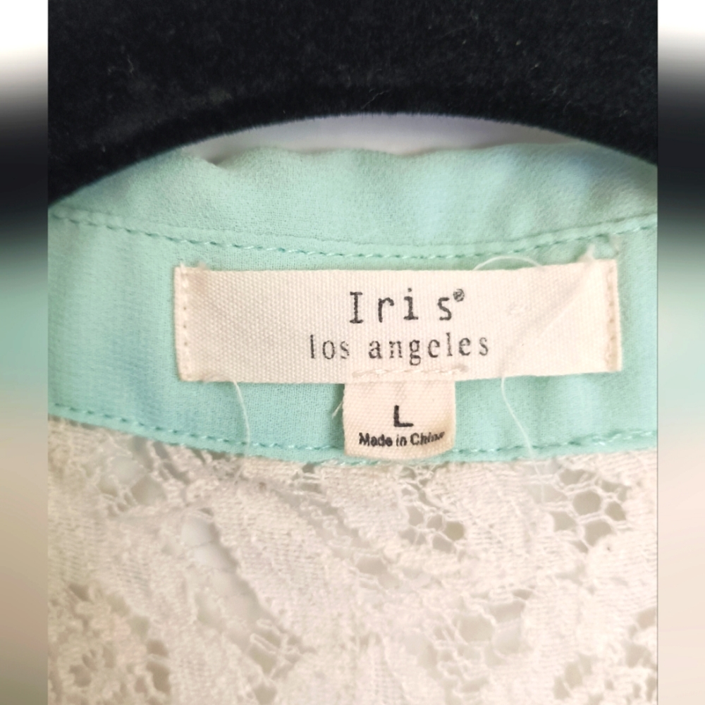 Iris Los Angeles Light Teal Sheer Button-up Top with Lace